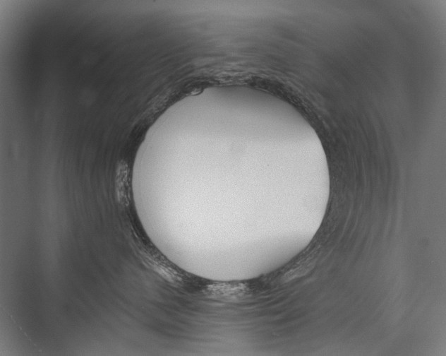 X0000075410480200610062002