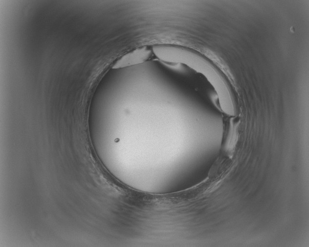 X0000075410481200610062001