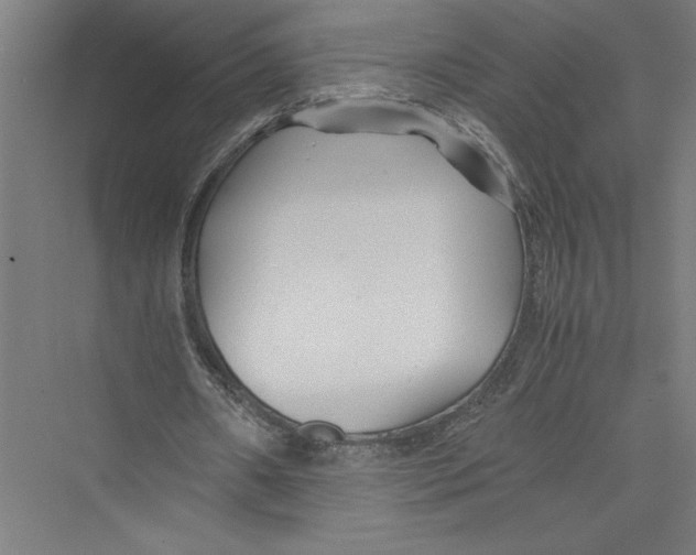 X0000075410482200610062001