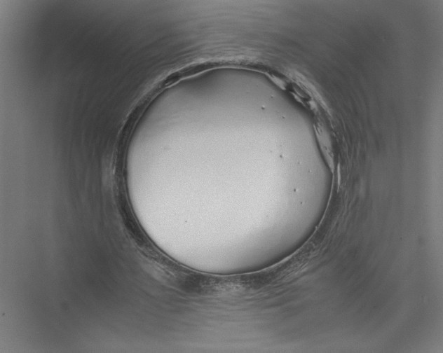 X0000075410483200610062001