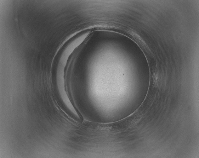 X0000075410484200610062001