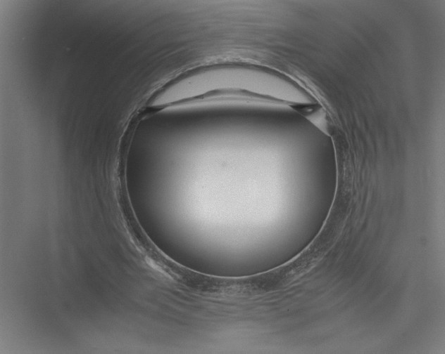 X0000075410485200610062001