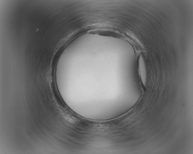 X0000075410486200610062001