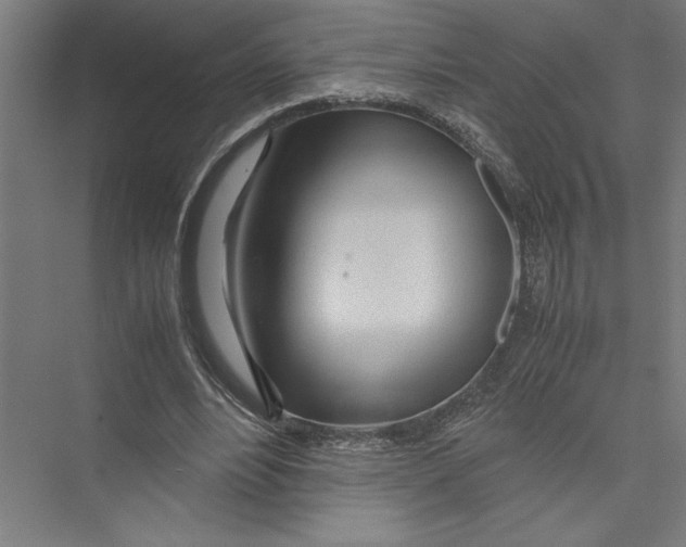 X0000075410488200610062001