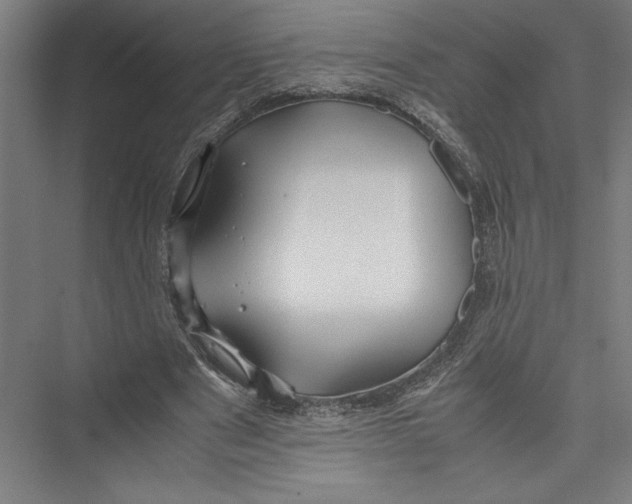 X0000075410489200610062001