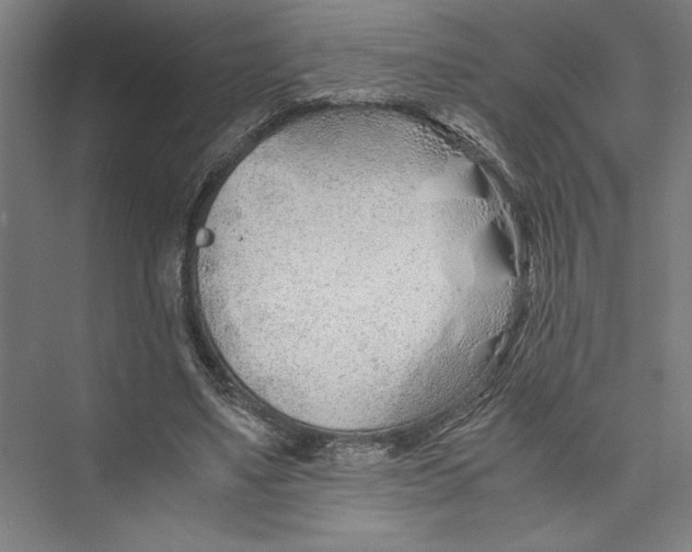 X0000075410491200610062001