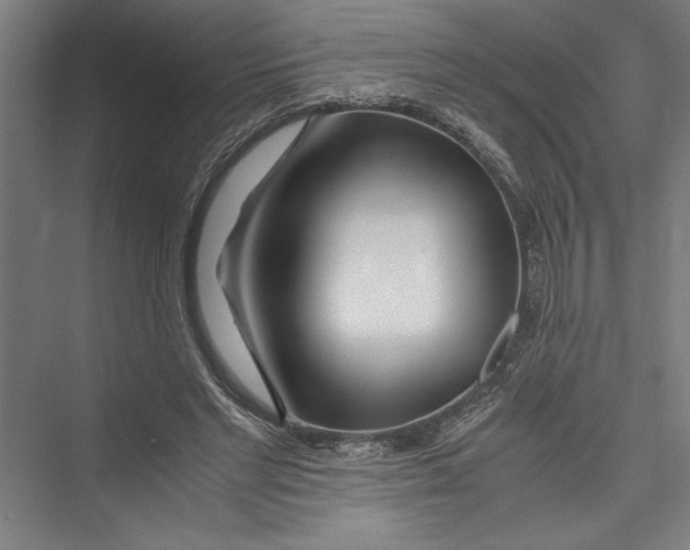 X0000075410493200610062001