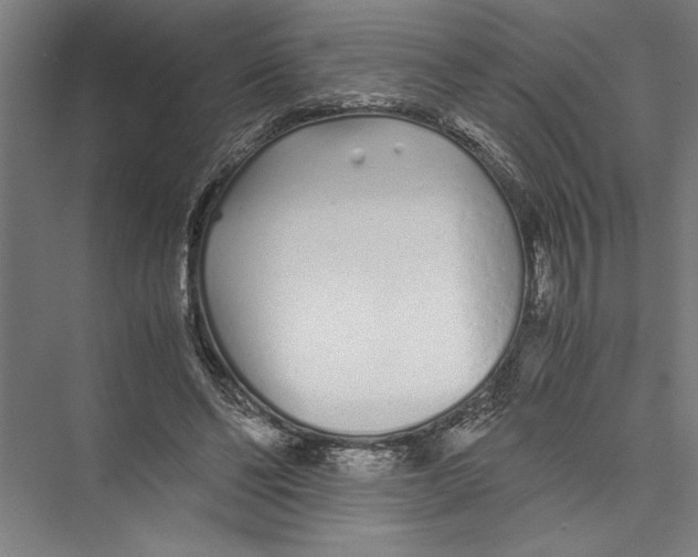 X0000075410494200610062001