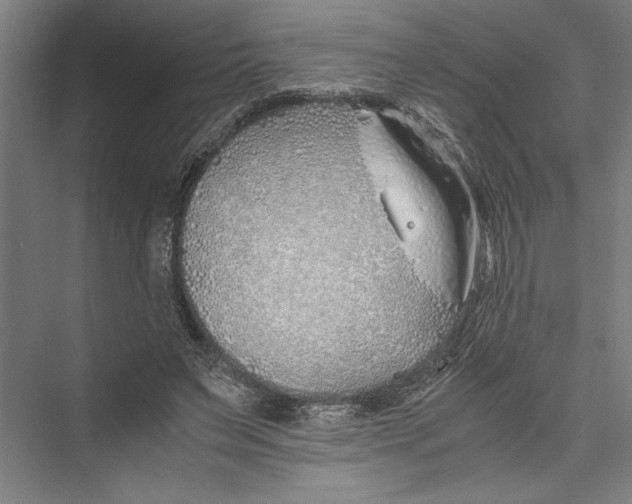 X0000075410495200610062001