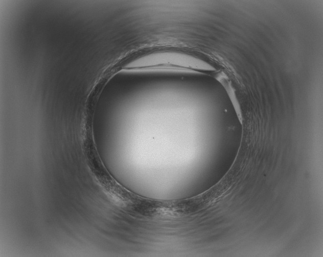 X0000075410496200610062001