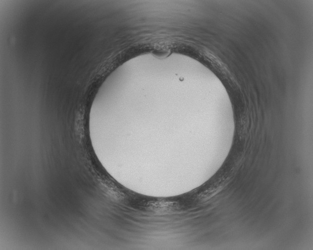 X0000075410497200610062001