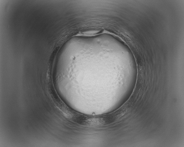 X0000075410499200610062001