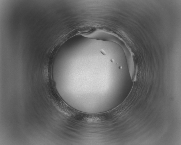 X0000075410500200610062001