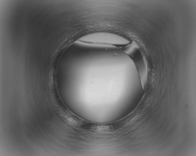 X0000075410501200610062001