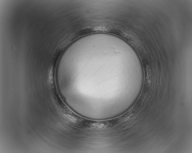 X0000075410502200610062001