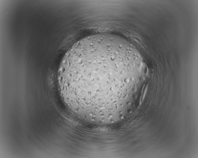 X0000075410503200610062001