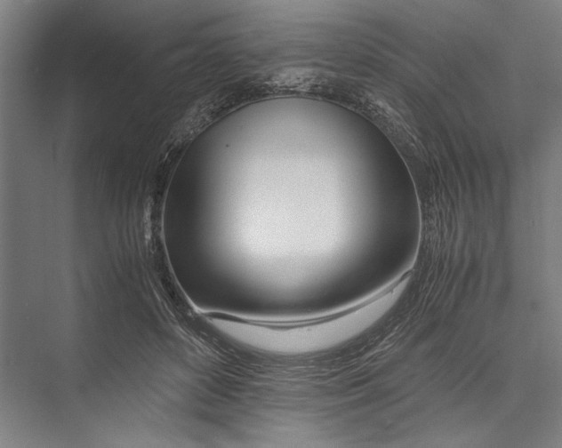 X0000075410504200610062001