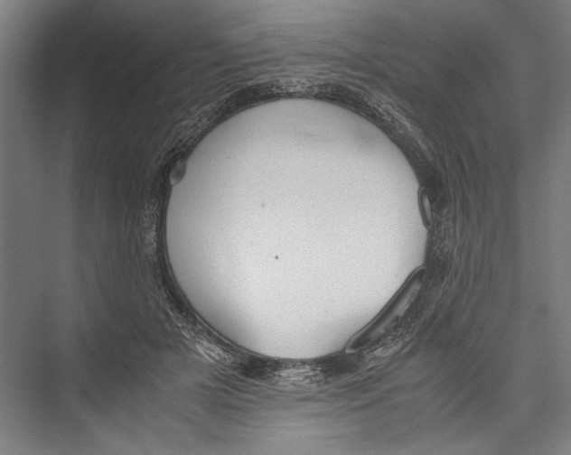 X0000075410505200610062001