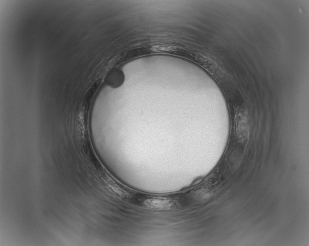 X0000075410506200610062001