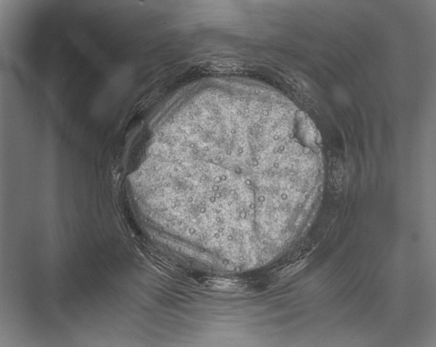 X0000075410507200610062001