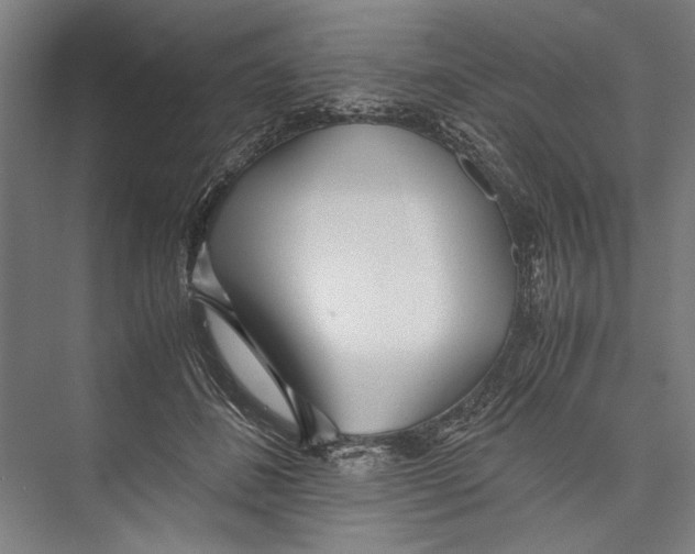 X0000075410508200610062001