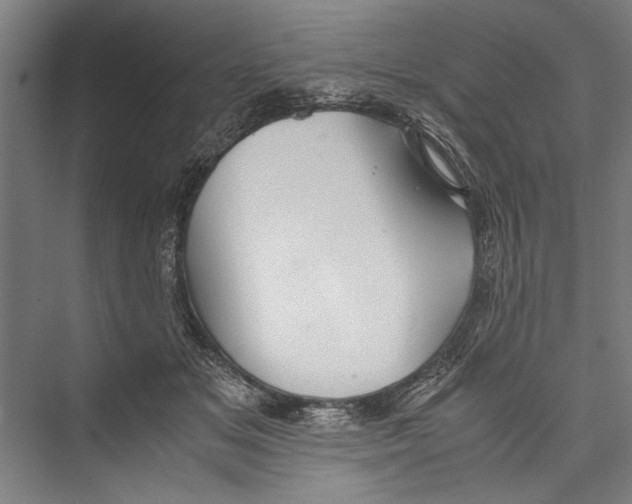 X0000075410509200610062001