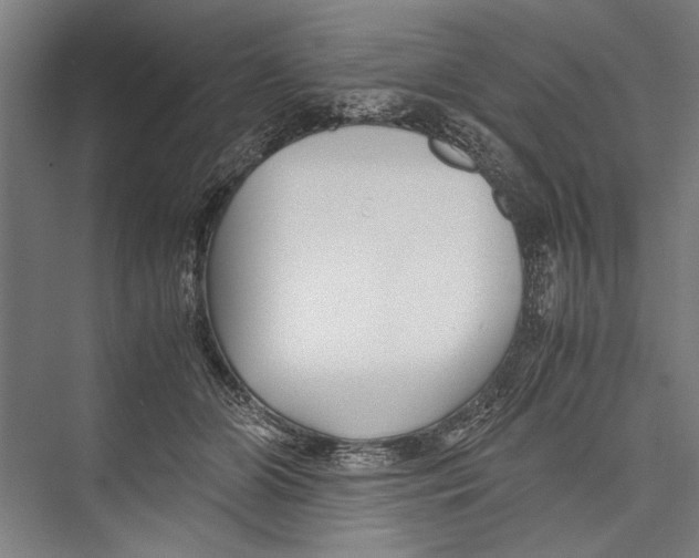 X0000075410510200610062001