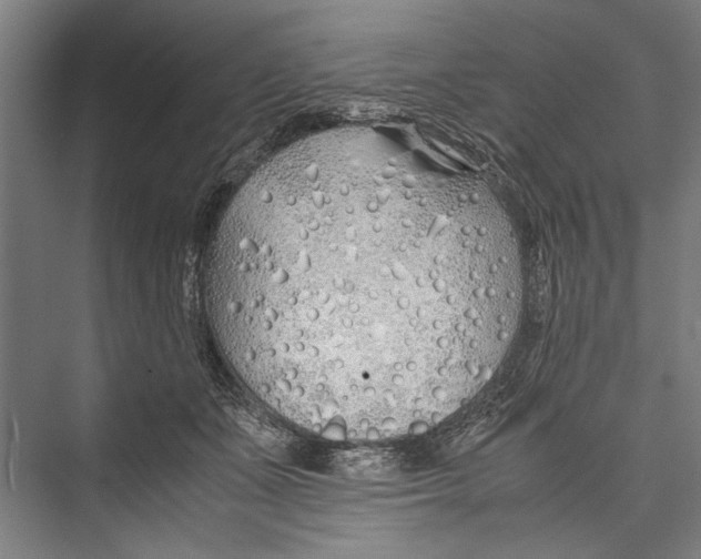 X0000075410511200610062001