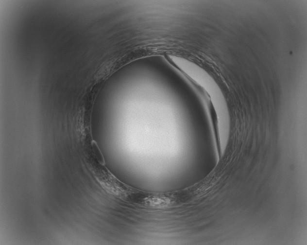 X0000075410512200610062001