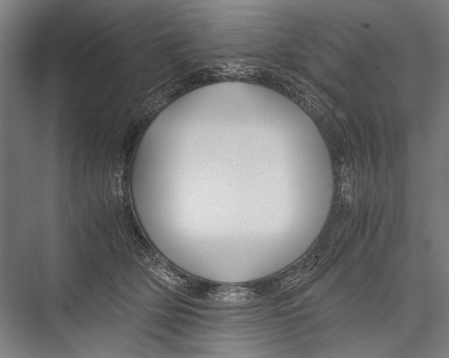 X0000075410514200610062001