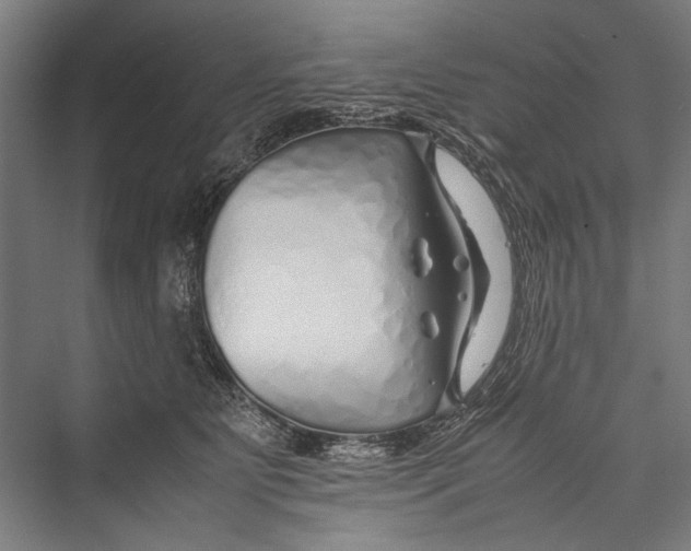 X0000075410515200610062001