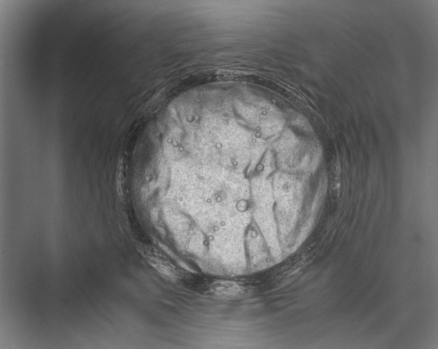 X0000075410519200610062001