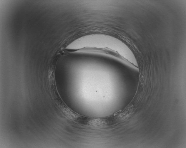 X0000075410521200610062001