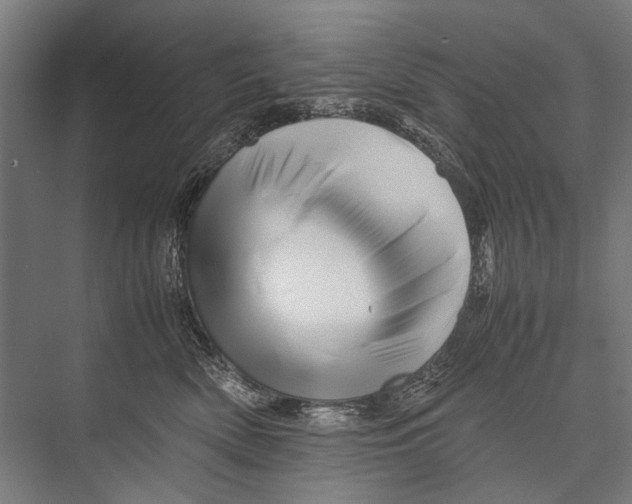 X0000075410522200610062001