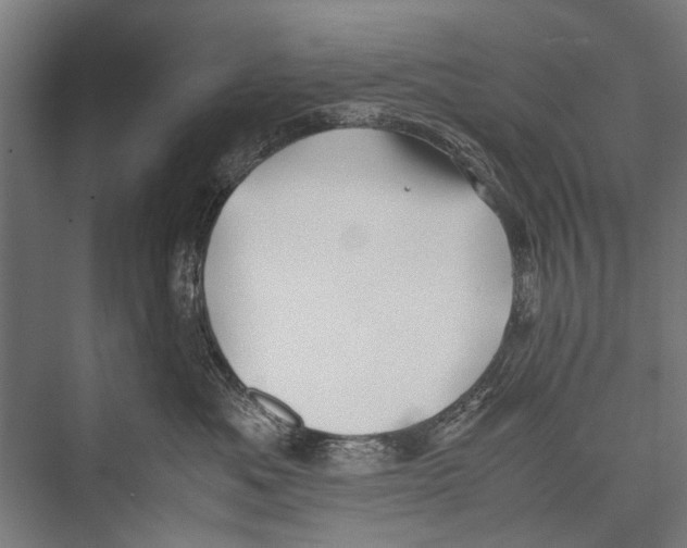 X0000075410525200610062000