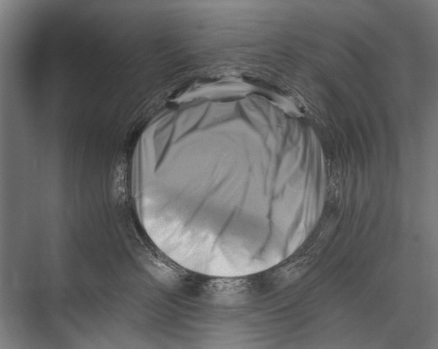 X0000075410526200610062000