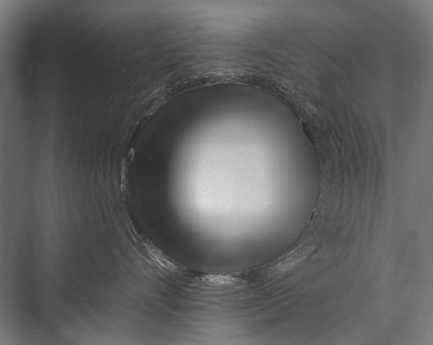 X0000075410528200610062000