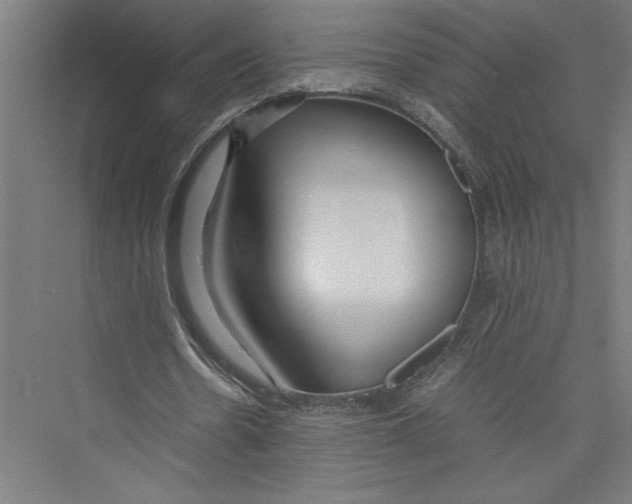 X0000075410530200610062000