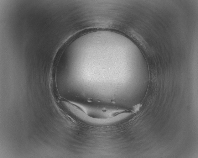 X0000075410532200610062000