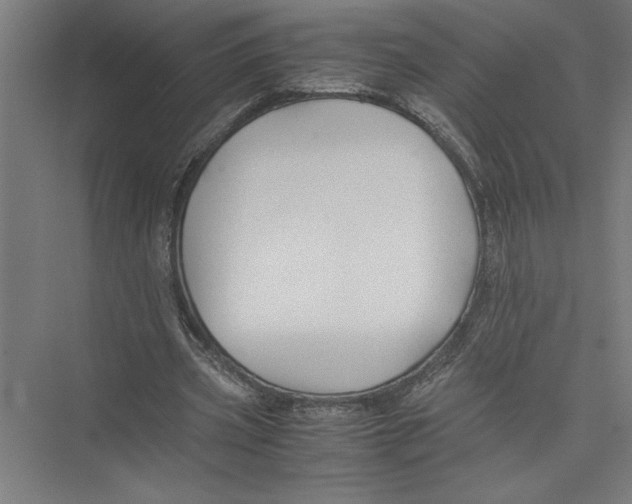 X0000075410533200610062000