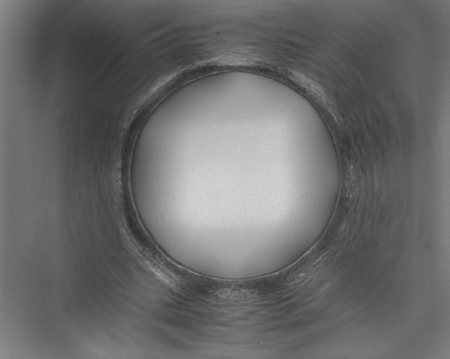 X0000075410535200610062000