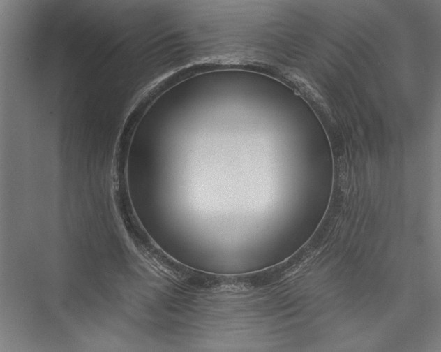 X0000075410536200610062000