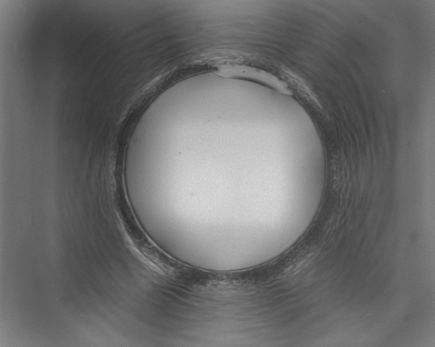 X0000075410538200610062000