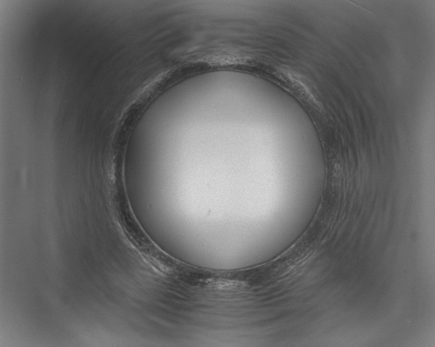 X0000075410539200610062000