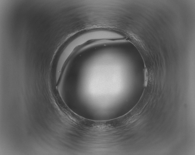 X0000075410540200610062000