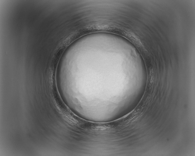 X0000075410542200610062000