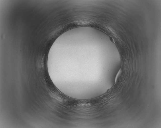 X0000075410543200610062000