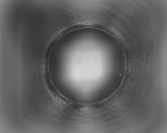 X0000075410544200610062000