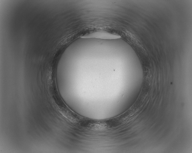 X0000075410548200610062000