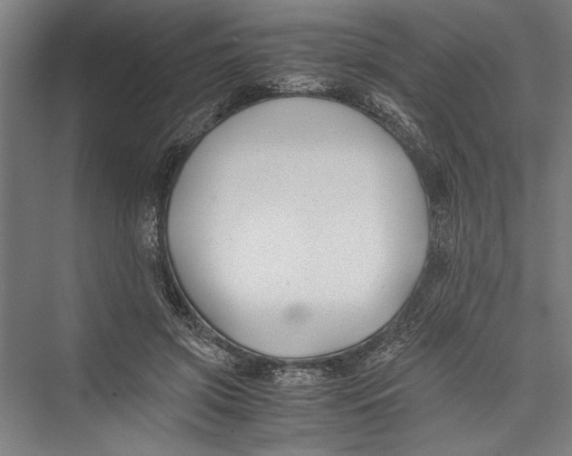 X0000075410549200610062000